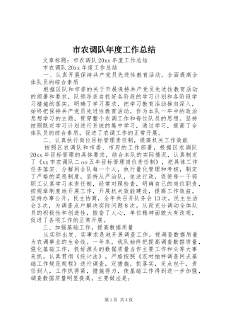 市农调队年度工作总结 