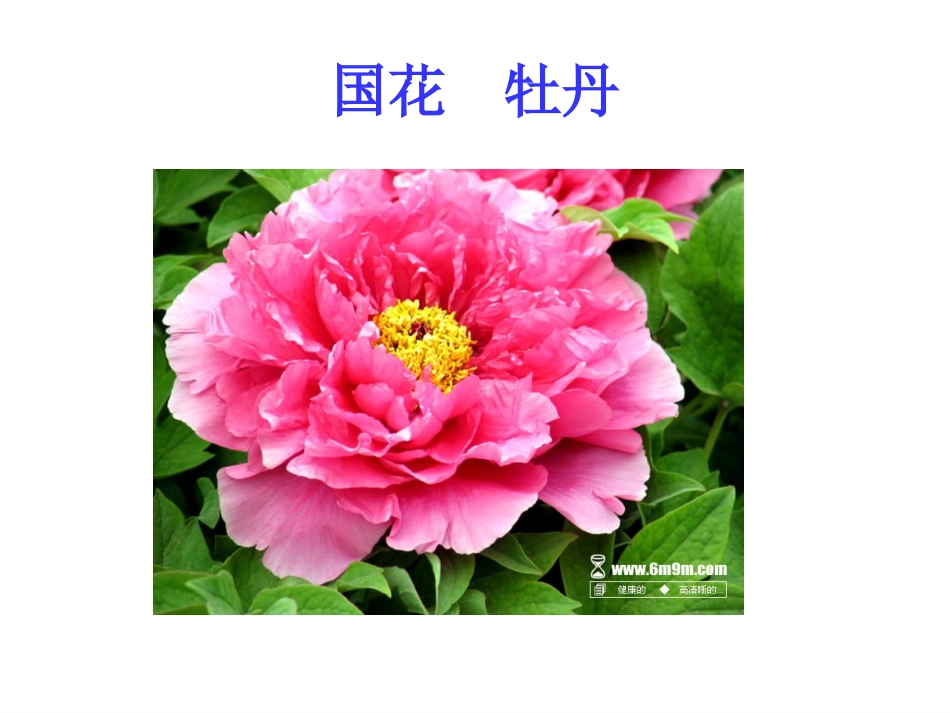 爱国_我的梦_中国梦_主题班会_第3页