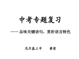 张玲中考专题复习