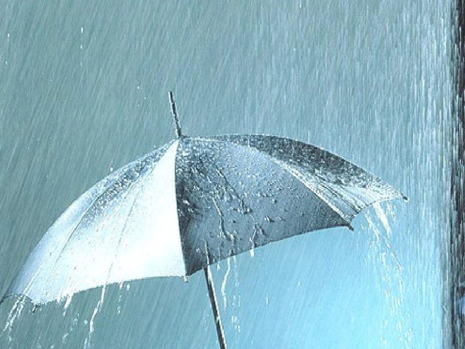 小雨沙沙课件_第3页