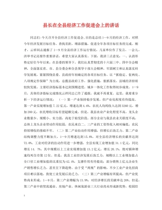 县长在全县经济工作促进会上的讲话 