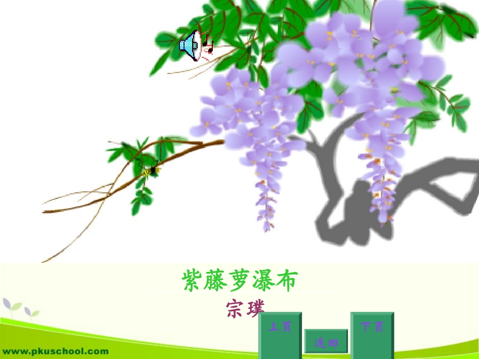 紫藤萝瀑布 (4)_第2页