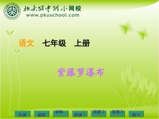 紫藤萝瀑布 (4)