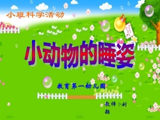小动物的睡姿