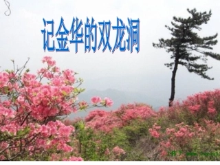 记金华的双龙洞 (2)