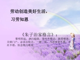 劳动需要知识MicrosoftPowerPoint演示文稿