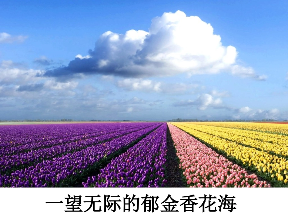 牧场之国课时_第2页