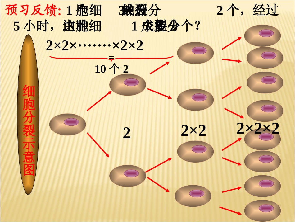 有理数的乘方课件课件_第3页