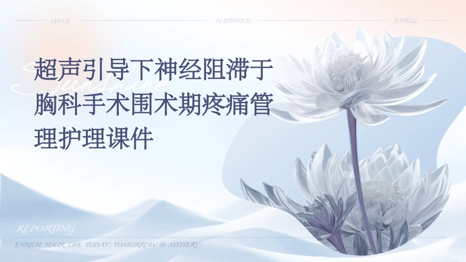 超声引导下神经阻滞于胸科手术围术期疼痛管理护理课件_第1页