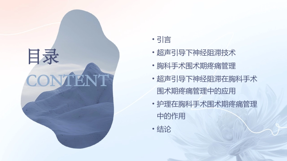 超声引导下神经阻滞于胸科手术围术期疼痛管理护理课件_第2页