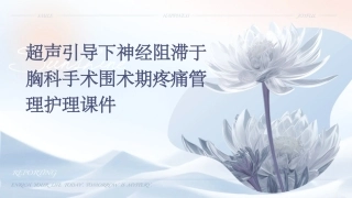 超声引导下神经阻滞于胸科手术围术期疼痛管理护理课件