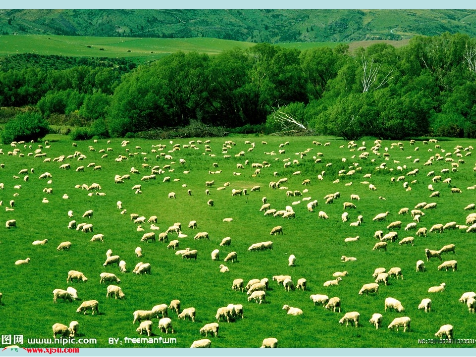 《草原的早晨》课件(年级语文下册课件)_第3页