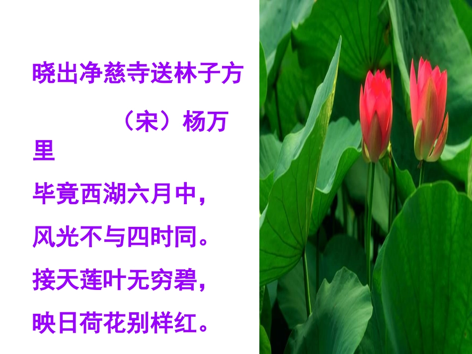 爱莲说 (5)_第2页