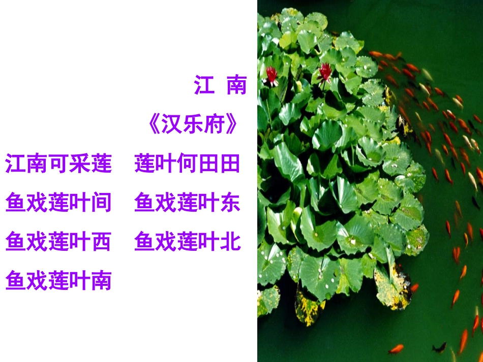 爱莲说 (5)_第3页
