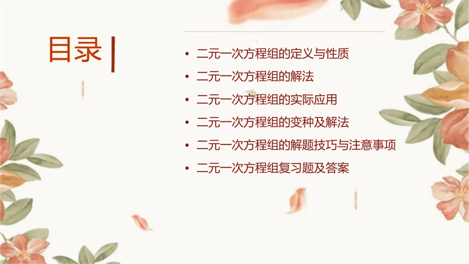 二元一次方程组复习教学课件1_第2页
