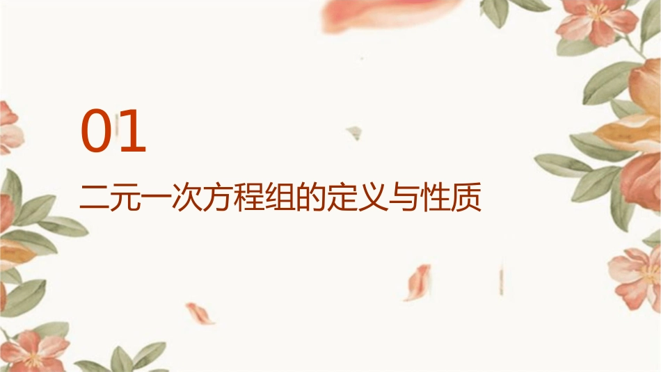 二元一次方程组复习教学课件1_第3页