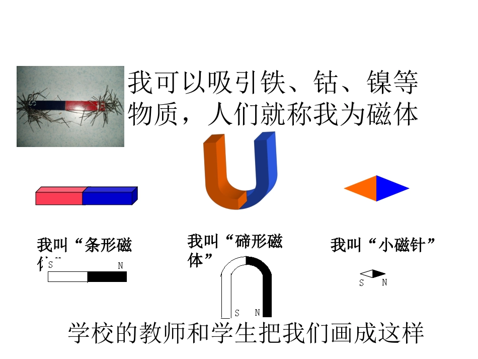 苏科版《161磁体与磁场》+flash课件_第2页