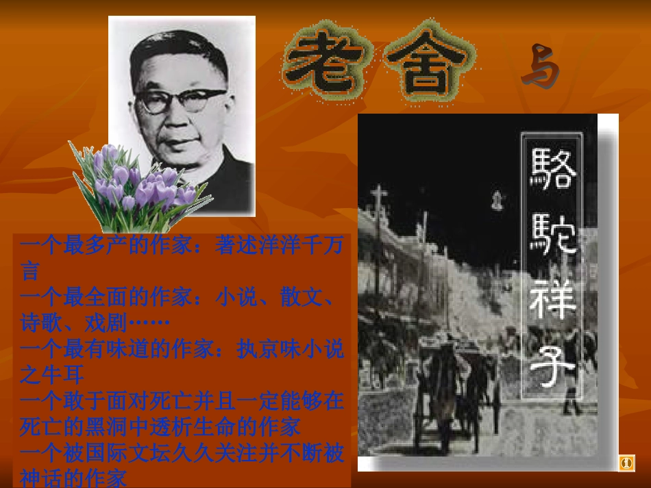 《骆驼祥子》《中国小说欣赏》）_第2页