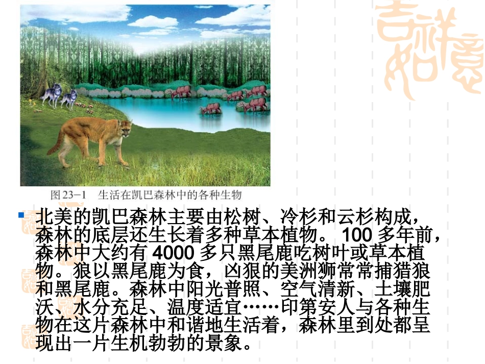 生态系统概述_第2页