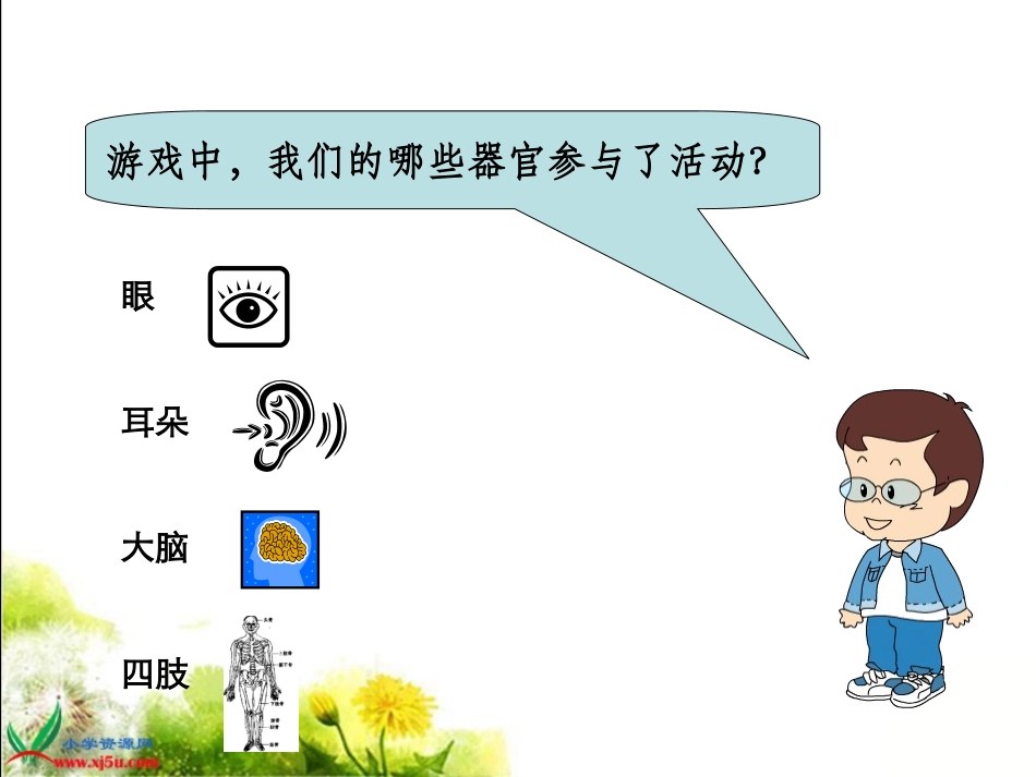 苏教版小学科学五年级下册《神经》课件_第3页