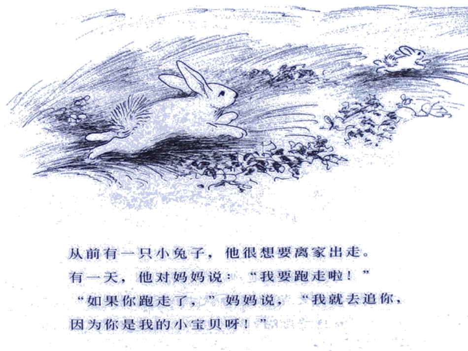 绘本写话逃家小兔_第2页