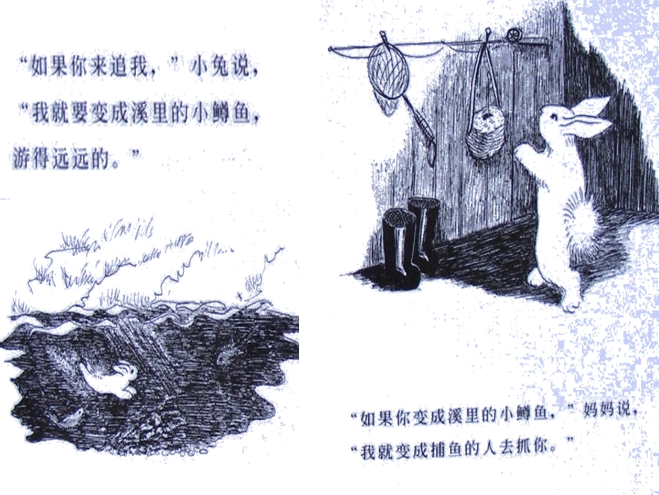 绘本写话逃家小兔_第3页
