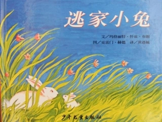 绘本写话逃家小兔