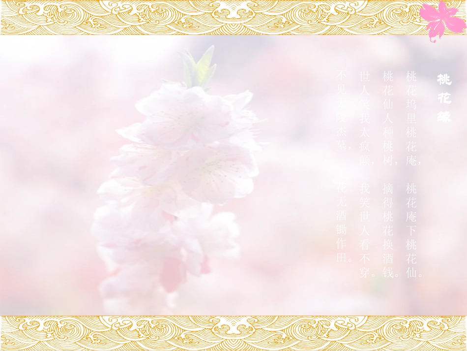 绝美的桃花背景动态PPT模板_第2页