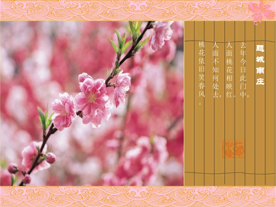 绝美的桃花背景动态PPT模板_第3页