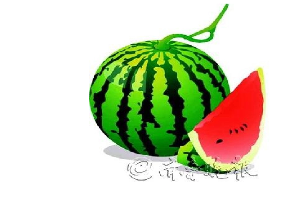 大西瓜和小蚂蚁_第3页