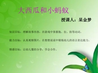 大西瓜和小蚂蚁