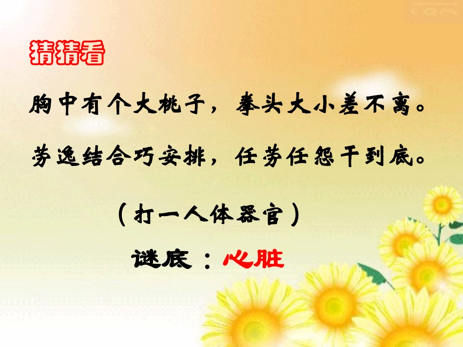 心脏的结构与功能_第1页