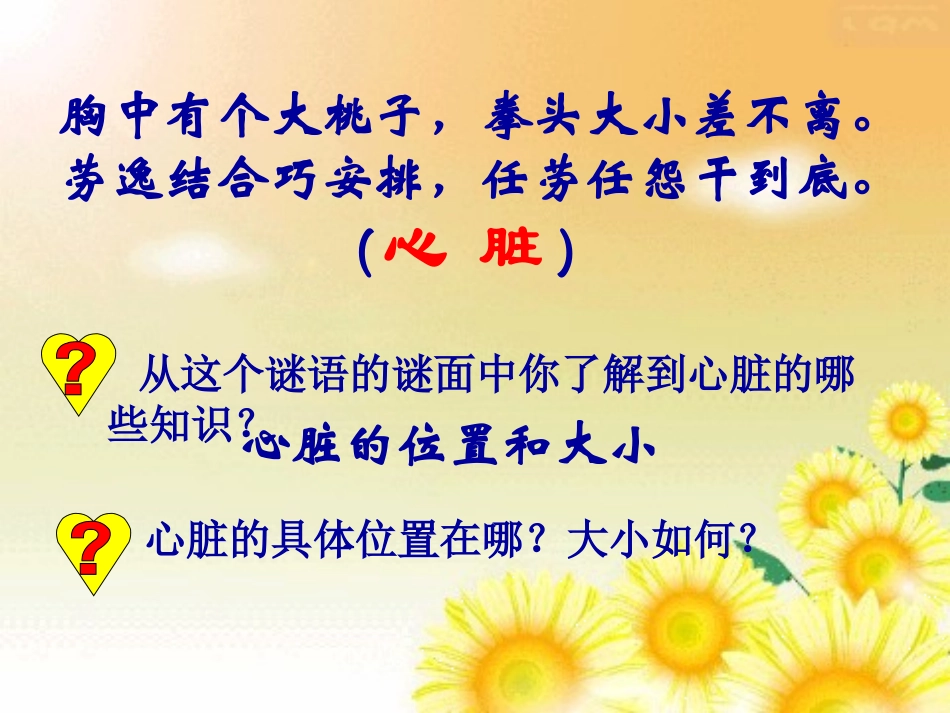 心脏的结构与功能_第3页