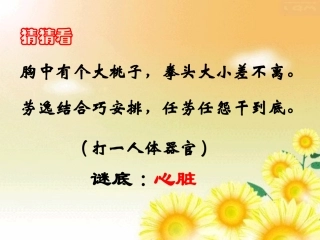 心脏的结构与功能