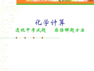 初中化学计算题总复习课件修改