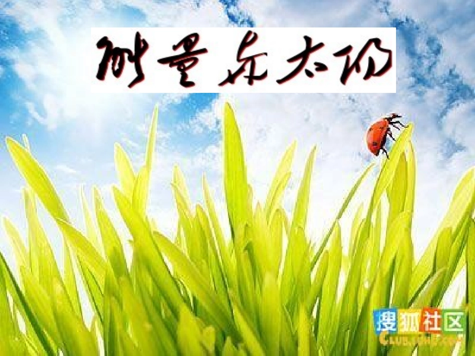 六年级上册科学PPT_能量与太阳_第1页