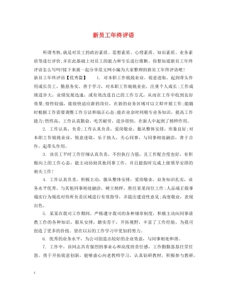 新员工年终评语 
