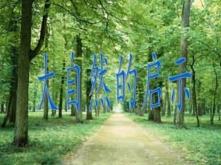 大自然的启示 (3)