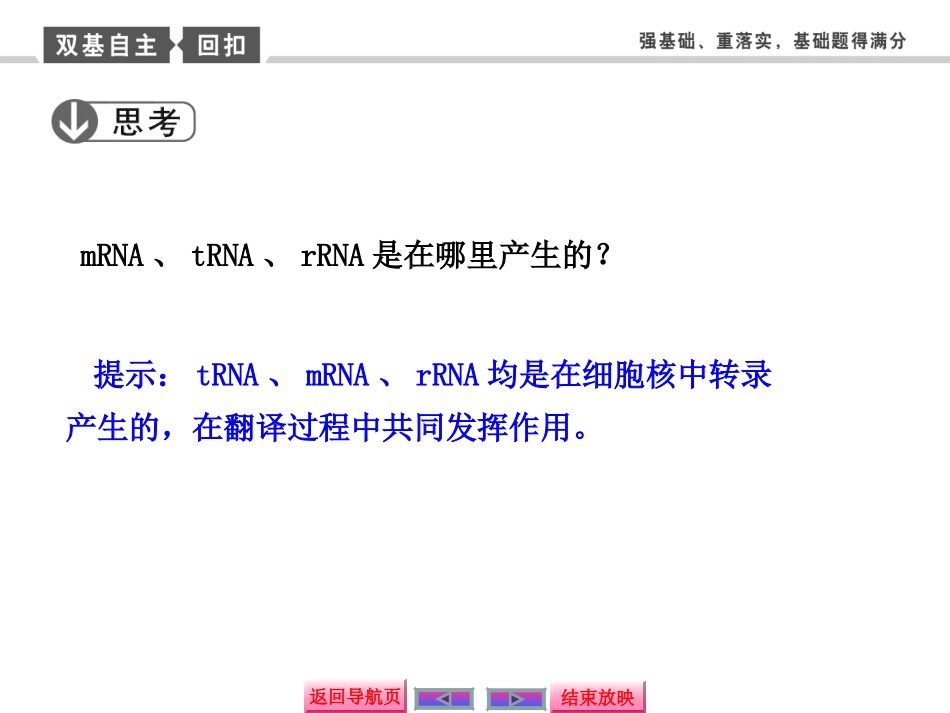 基因的表达课件_第3页