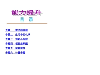 中考化学复习方案课件：目录·能力提升