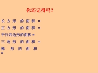 组合图形的面积(汇报课) (2)