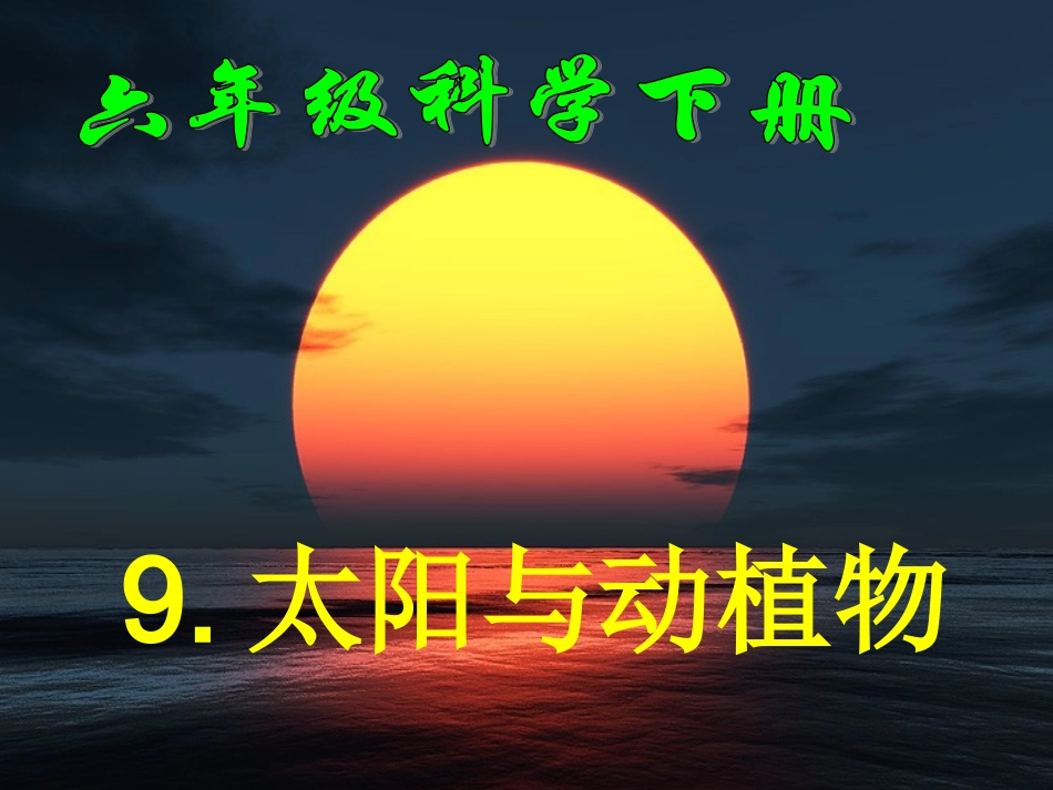 太阳与动植物_第1页