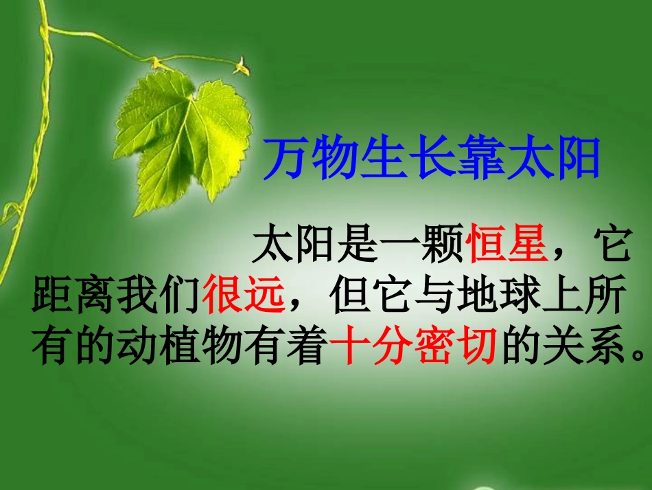 太阳与动植物_第2页