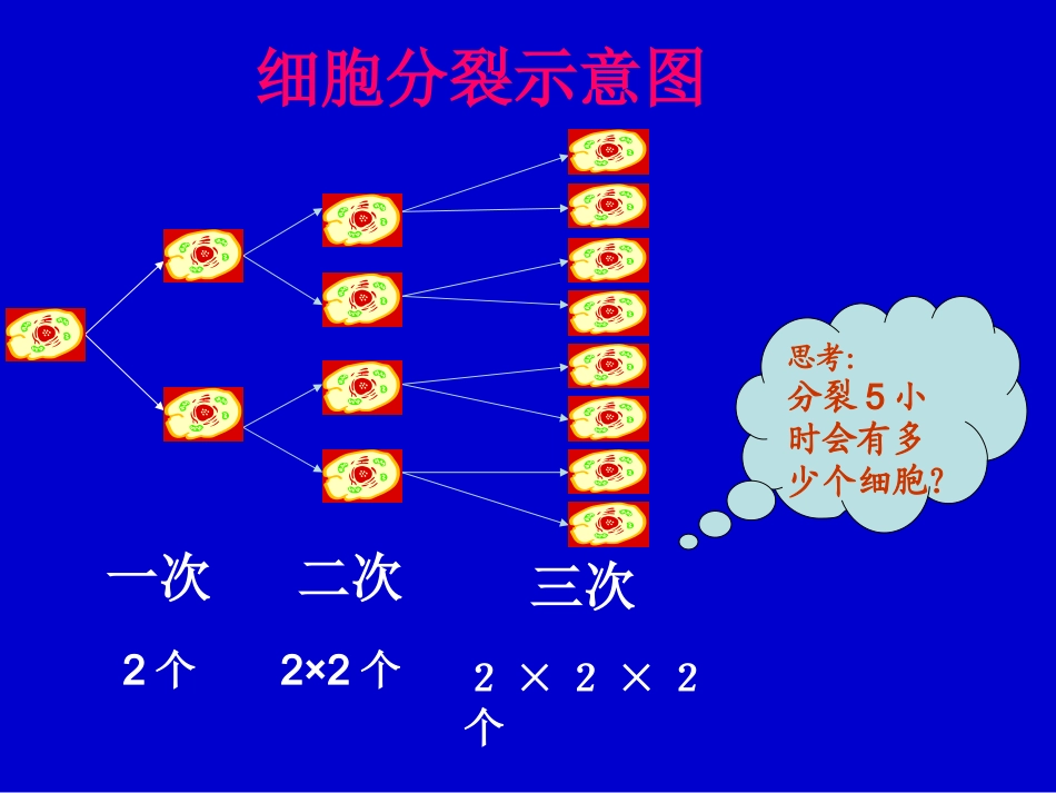 有理数的乘方（一）演示文稿_第3页