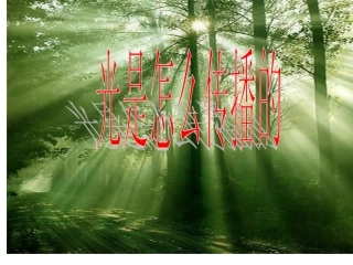 教科版科学五上《光是怎样传播的》PPT课件