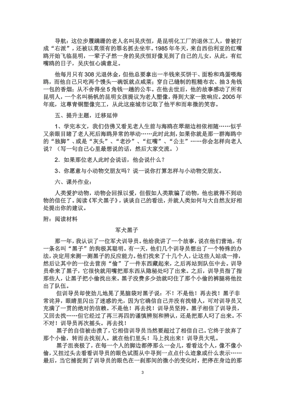 老人与海鸥导学案_第3页