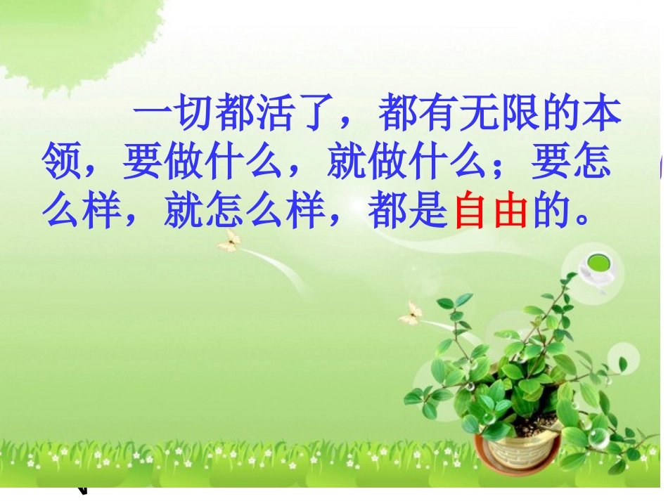 我和祖父的花园_第3页