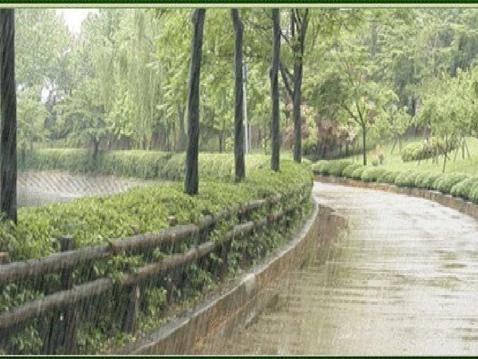 《雨后》课件_第2页