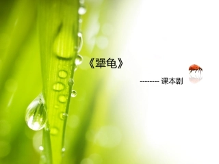 《犟龟》课本剧PPT