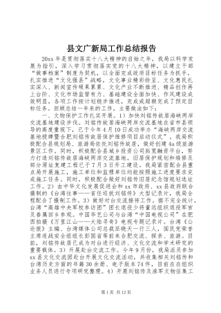 县文广新局工作总结报告 